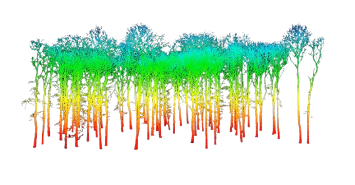 Fire-Ready Forests Data Challenge - Home